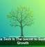 Scalable Tech Is The Secret to Sustainable Growth